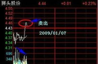 300079买进23.5，601166买进10.84帮我分析下，谢谢