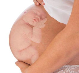 胎儿臀位，胎儿一直臀位说明宝宝有问题