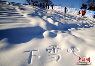 北京玉渊潭公园第五届冰雪文化活动开幕 