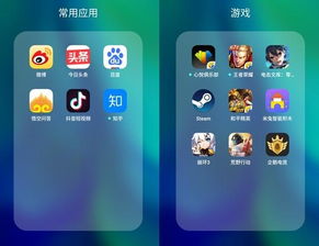 手机上有多少个app(你的手机有50个app吗，经常用的和很少用的是哪几个)