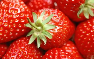 关于草莓诗句