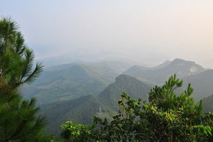 柳州景观 古亭山 1