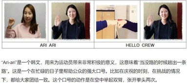 延世大学冬奥培训内容篇