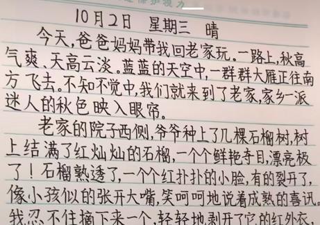 二年级小学生写字作业,字好看成绩拔尖,老师 写好字很重要