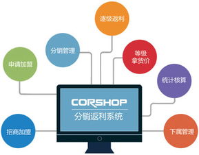 分销方式有哪些 (虚拟空间代理分销)