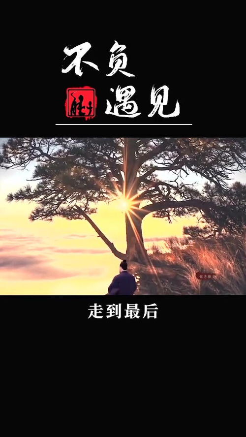 情出自愿,事过无悔,不负遇见,不谈亏欠 