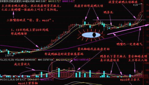 股票怎么玩，怎么买，具体的从头到尾的买入卖出，