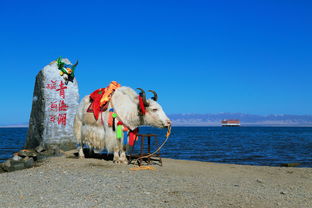 青海湖停车场有门票免费吗,青海湖门票免费政策