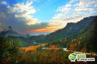 旅游胜地 四川光雾山 以秀丽奇特的群峰为代表,苍翠茂密的森林植被为基调,集秀峰怪石 峭壁幽谷 溪流瀑潭 原始山林为一体