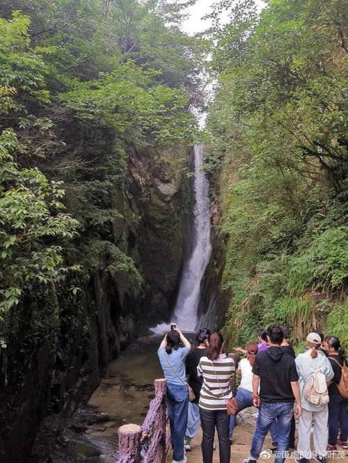 藏匿在深山老林中的小家碧玉 心中总有期待