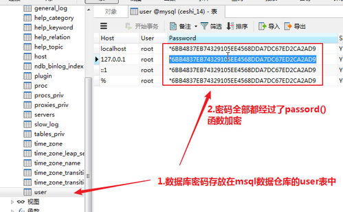 mysql密码加密后的值怎么查(navicat如何查看数据库密码)