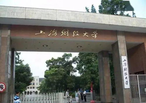 上财国教分数线(上海财经大学国际教育学院是几本)