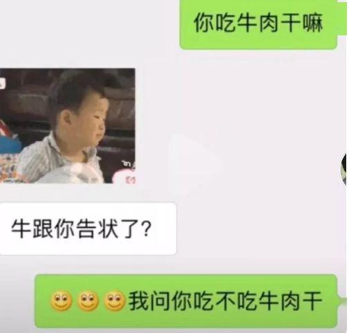 现场给狗子直播人片不太好吧,它还是适合看狗片