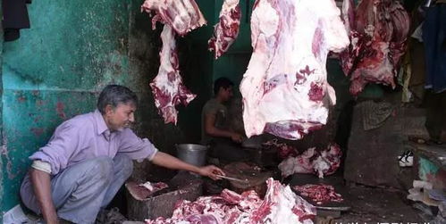 印度人是怎么 卖肉 的 看完印度的肉摊,或许你都不想再吃肉 