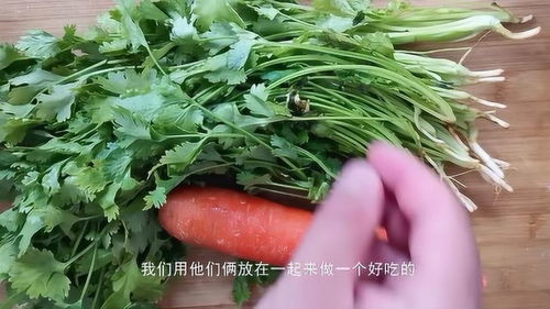 香菜怎么吃最好