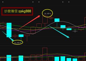 600887这只股票是不是蓝筹股？