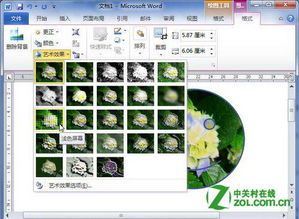 Microsoft Office 2010 专业版问答堂 