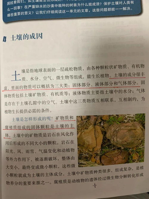 网友爆料 差生就该受 歧视 吗 如皋一小学老师家长群内拉 培优群 ...