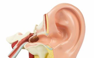 耳鸣怎么治疗 韩百通治疗耳鸣的最佳方法 值得一看