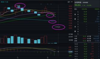 长信科技2022年为何跌的很厉害？