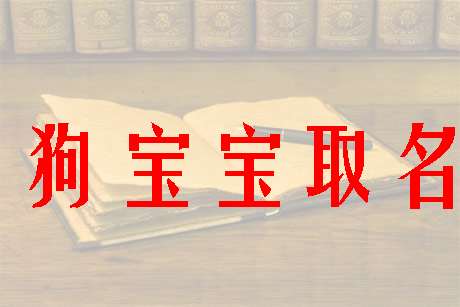 起名取名属狗生日2018年11月,卫姓起名