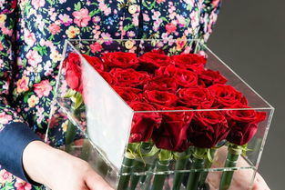 给女朋友送什么花,送女朋友送什么花比较好?给女朋友送花怎么送?
