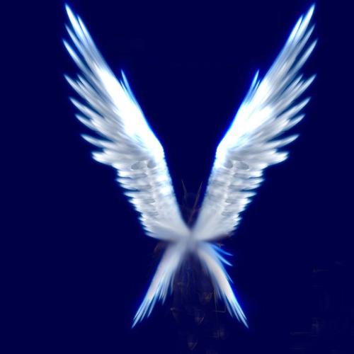 哪有天使的翅膀要大图的 只要翅膀