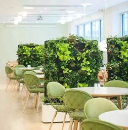 小巧的墙体绿化 植物屏风
