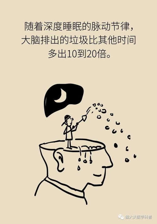 睡眠日丨睡不好的后果远比你想得更严重,你可能会变傻