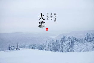 今日大雪 南方人 北方人过冬,据说没有对比就没有伤害......