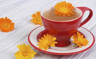 哪种菊花泡水喝功效最好,喝什么菊花茶最好？