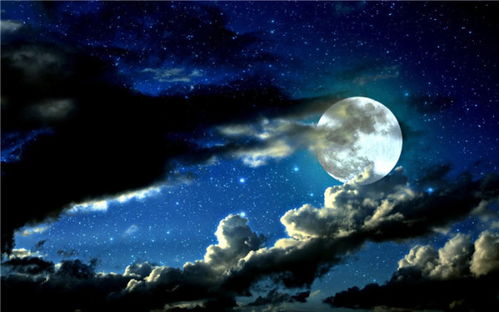 诗经陈风月出的诗句,诗经陈风月出中月亮是美的象征是哪一句,诗经陈风月出描写月亮的诗句