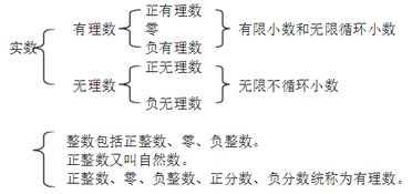 正数和负数是整数吗 