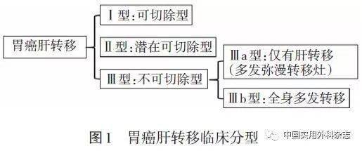 指南与共识 胃癌肝转移诊断与综合治疗中国专家共识 2019版