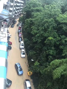 三明强降雨 最高降雨量超200毫米 省防指启动防暴雨Ⅳ级应急响应