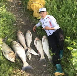 钓鱼高手教你夏季浮钓鲢鳙的技巧 