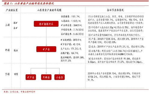 山东黄金明天怎么样？详细介绍