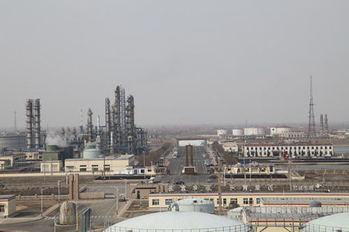 山东地方炼油厂有多少家上市公司