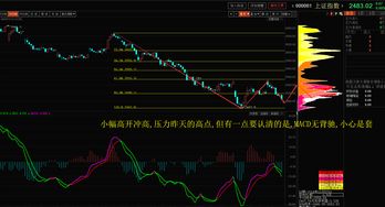 今天沪市大盘能收涨吗？