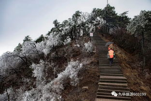 太美 九华山迎来今冬首场雾凇奇观,高海拔地区明天或会有降雪