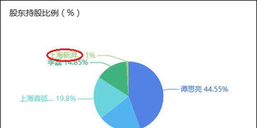 公司入股的股份比例划分