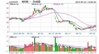 请问我有沪市打新2千份额，是每只股票能打2千股还是共计能打2千股?