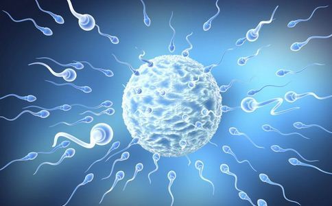 备孕期让y精子变多的方法，从提高精液质量和活力开始插图