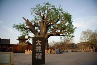 端午预热 山西11地市传统景点 小众美景,山西旅游超全攻略