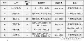 新疆和钢新能科技股份有限公司怎么样？