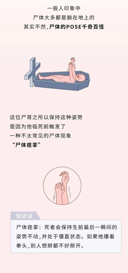 关于尸体的各种冷知识,真的是长知识了...