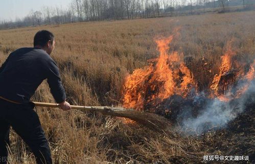 古代没有洗衣粉,衣服穿脏了怎么办 三个方法,去渍留香不伤手