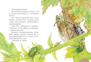 写给中国儿童的昆虫记 蝉