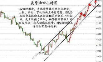 002505后市怎么看能不能涨到29元，给点意见。002130后市能否涨。