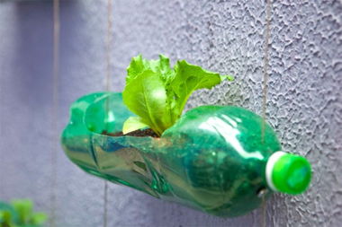 怎样制作养花塑料瓶